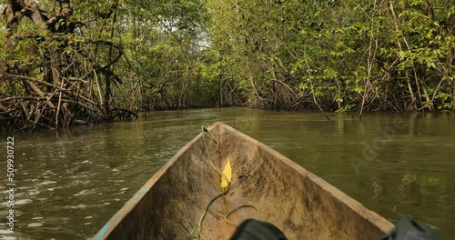 Mangrove wood exploring on wooden canoe photo