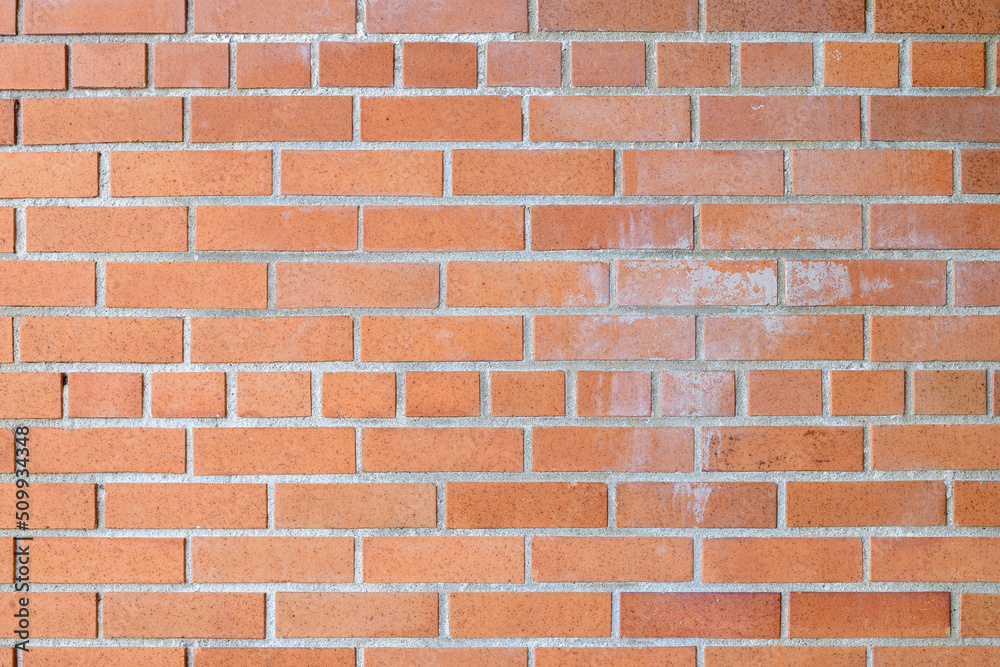 Obraz premium Grunge Brick Wall Background