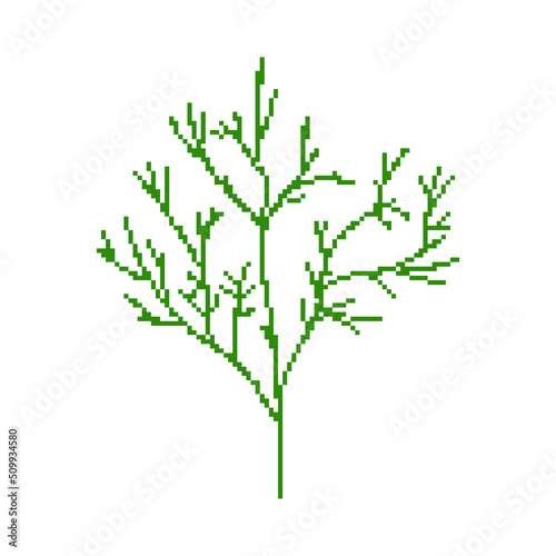 Dill pixel art. 8 bit spicy herb for food. pixelated  dill branch Vector illustration