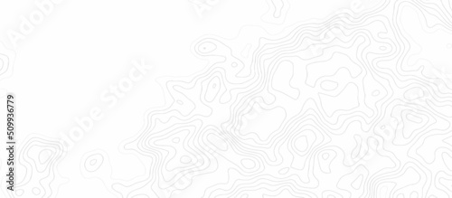 The concept of a conditional geography scheme and the terrain path. Background of the topographic map. Topographical background. Linear graphics. Vector illustration.