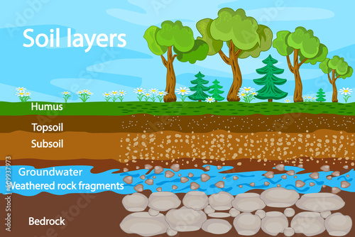 Soil layers. Diagram for layer of soil. Soil layer scheme with grass, earth texture, groundwater and stones. Cross section of humus or organic and underground soil layers beneath. Vector illustration