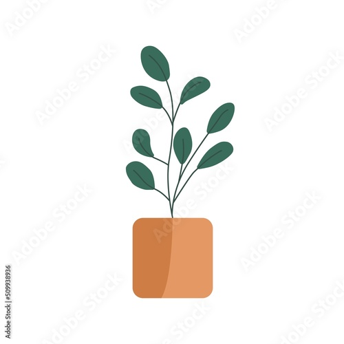 Hand drawn tropical plant in potted decorative plants for home and office vector flat. Plants illustration isolated on white background.