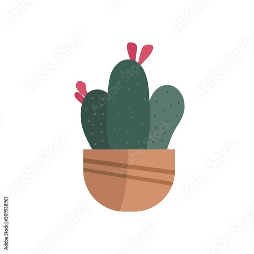 Hand drawn cactus and pink flower in the half circle potted flat vector. Plants illustration isolated on white background.