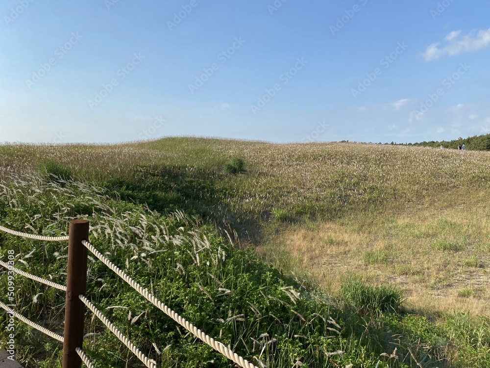 Fototapeta premium Sinduri Coastal Sand Dunes in Korea