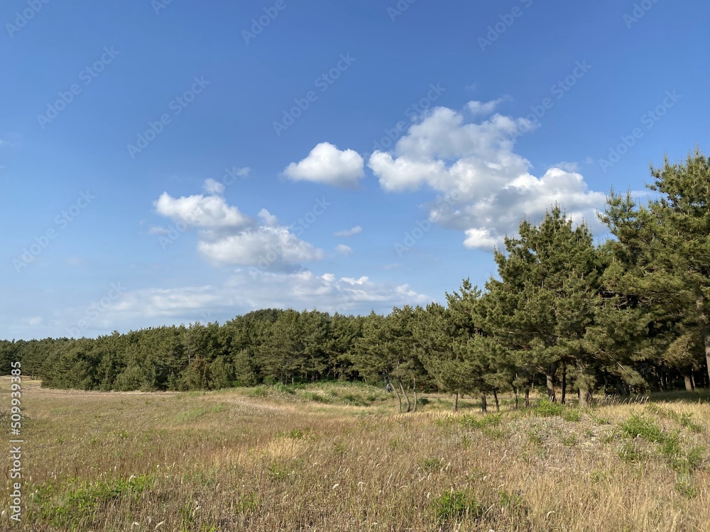 Sinduri Coastal Sand Dunes in Korea