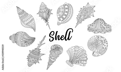 Shells Pattern Set Design in doodle style on white background for digital printing, clothes patterns, elements for designs, bag designs, fabric patterns, cards and more. © Churiarat