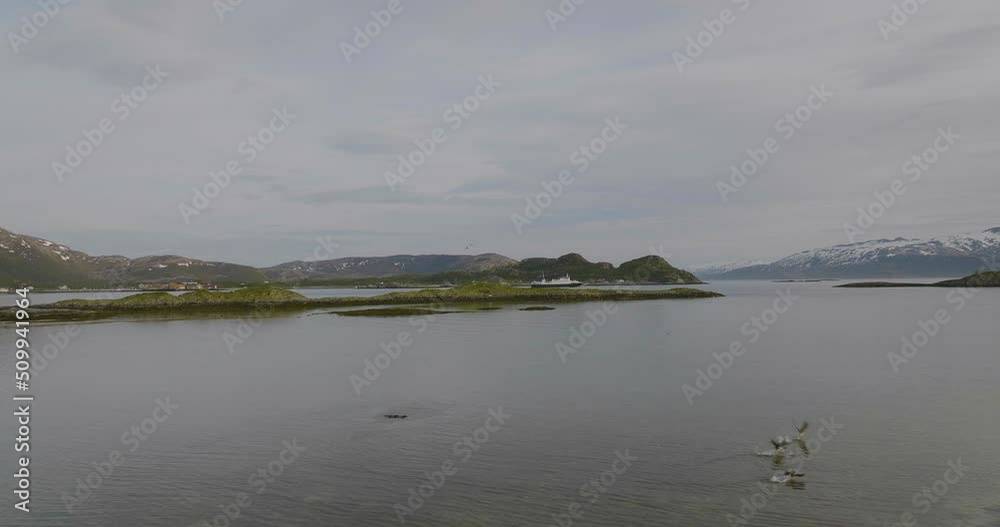 Nature scene with seabirds in flight and vessel cruising on calm fjord, aerial Nature scene with seabirds in flight and vessel cruising on calm fjord, aerial