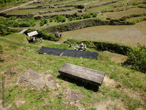 愛知県新城市、四谷千枚田の案山子の風景。