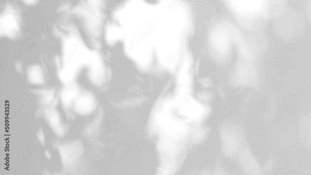 Closeup branch tree leaves silhouette shadow motion on wall, abstract background