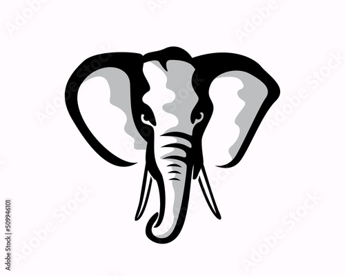 head face mammalian elephant mammoth drawn art logo illustration inspiration