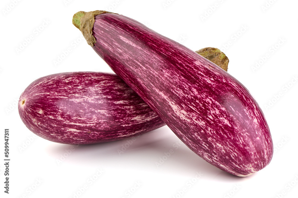 Purple striped eggplant, isolated on white background. Purple striped eggplant, isolated on white background.