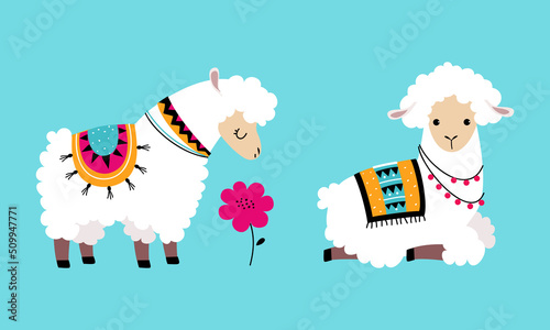 Pretty Wooly Llama or Alpaca Wearing Knitted Blanket Sitting and Standing Vector Set