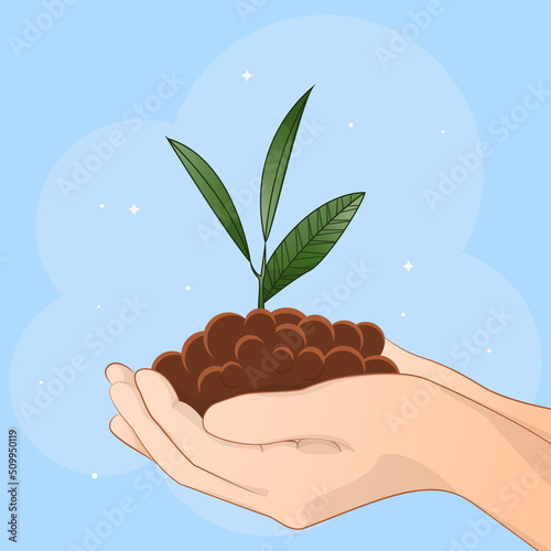 plant in hands, Hands hold a green sprout, a person plants a plant, a person saves nature, preserves forests