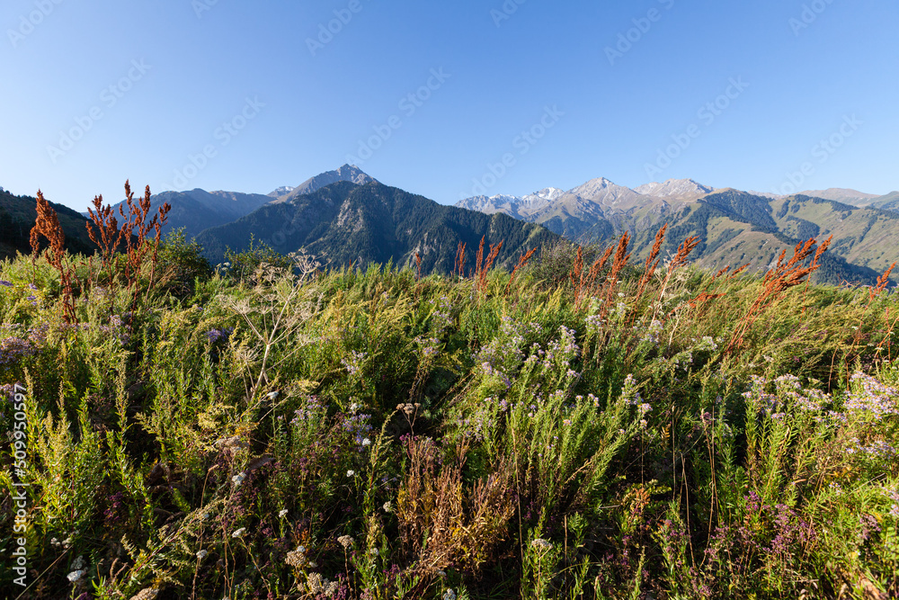 The Zailiyskiy Alatau Mountains in Almaty, Tien Shan mountain system in Kazakhstan. Big Almaty Peak and two Brothers in the background. .Big Almaty Gorge