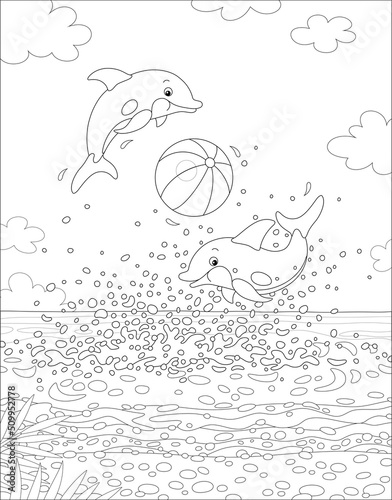 Merry little dolphins in sp...