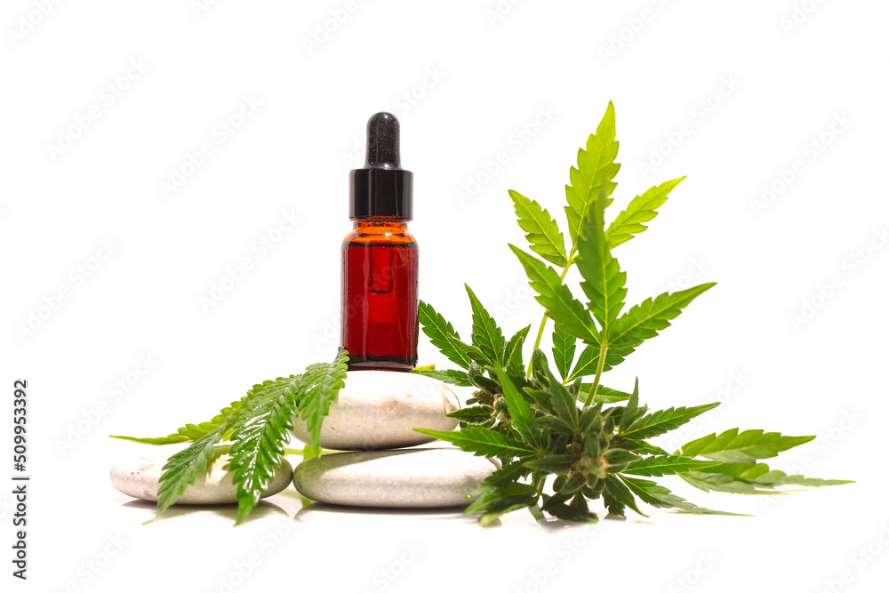 Fototapeta premium Medical marijuana 