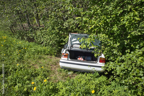 Abandoned car on the roadside forest after accident