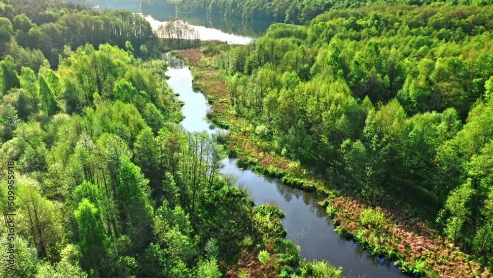 Green forest and river at sunrise in spring. Green forest and river at sunrise in spring.