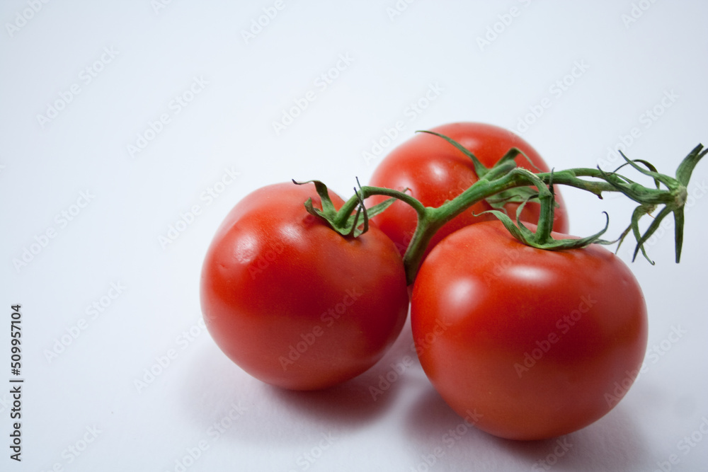 Organic tomato in branch on white background with copy space Organic tomato in branch on white background with copy space