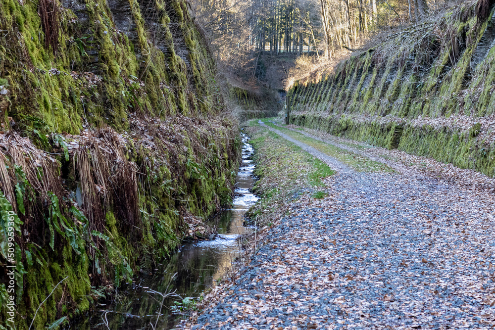 Un chemin dans les forêts luxembourgeoises Un chemin dans les forêts luxembourgeoises