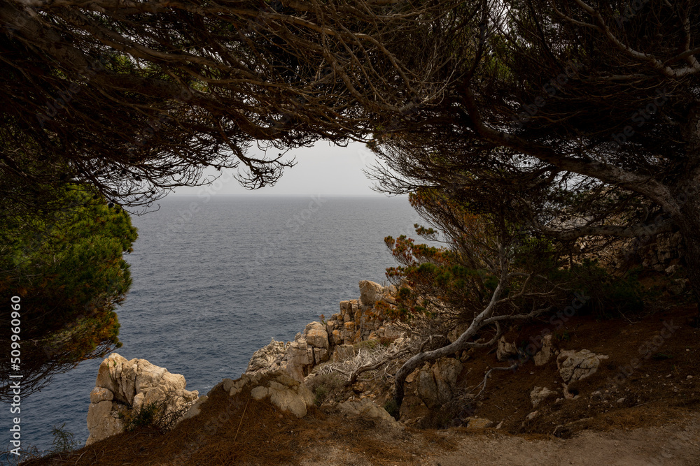 Widok na morze ze skalistego wybrzeża, ramka z drzew.  - obrazy, fototapety, plakaty 