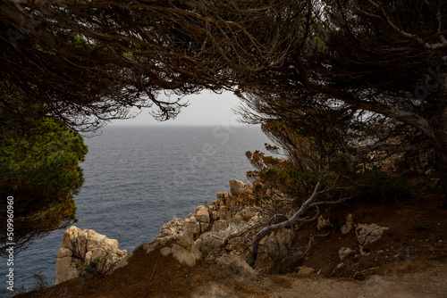 Widok na morze ze skalistego wybrzeża, ramka z drzew. 