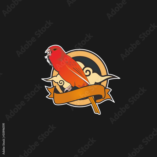 Canary Bird - vector