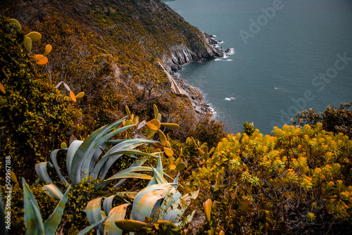 Liguria cinque terre Italia, Italy, world heritage, in spring