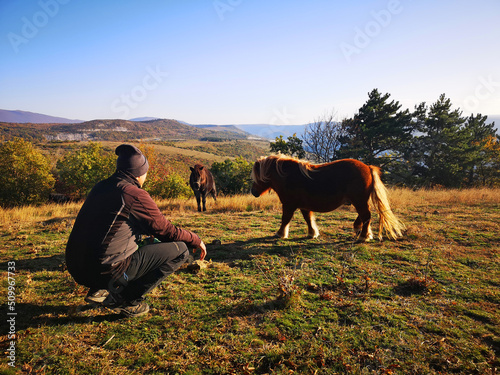 Socerb Horses