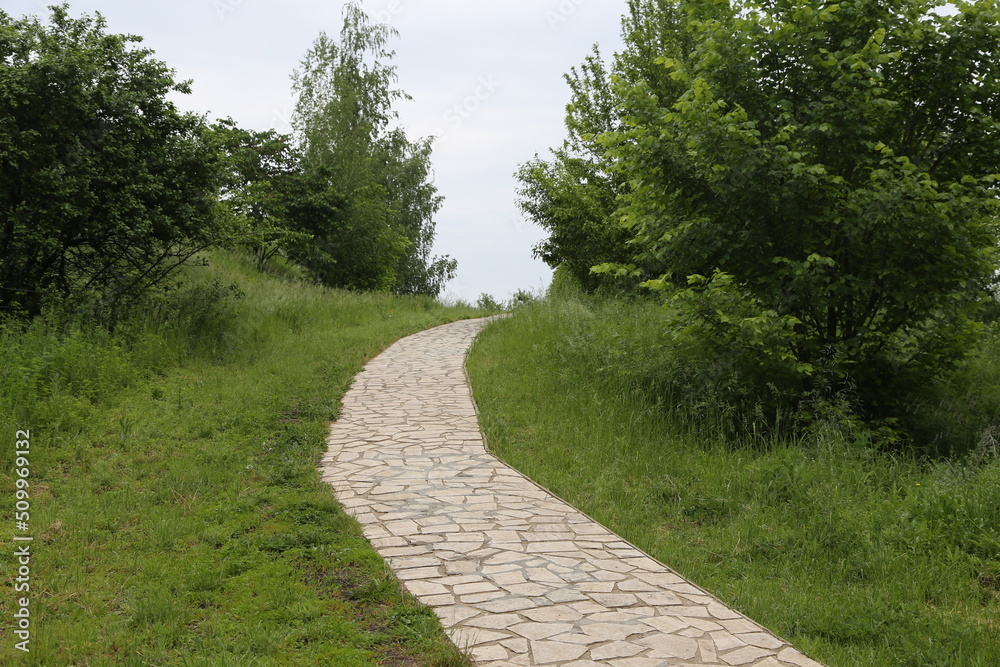 stone sidewalk on a green lawn