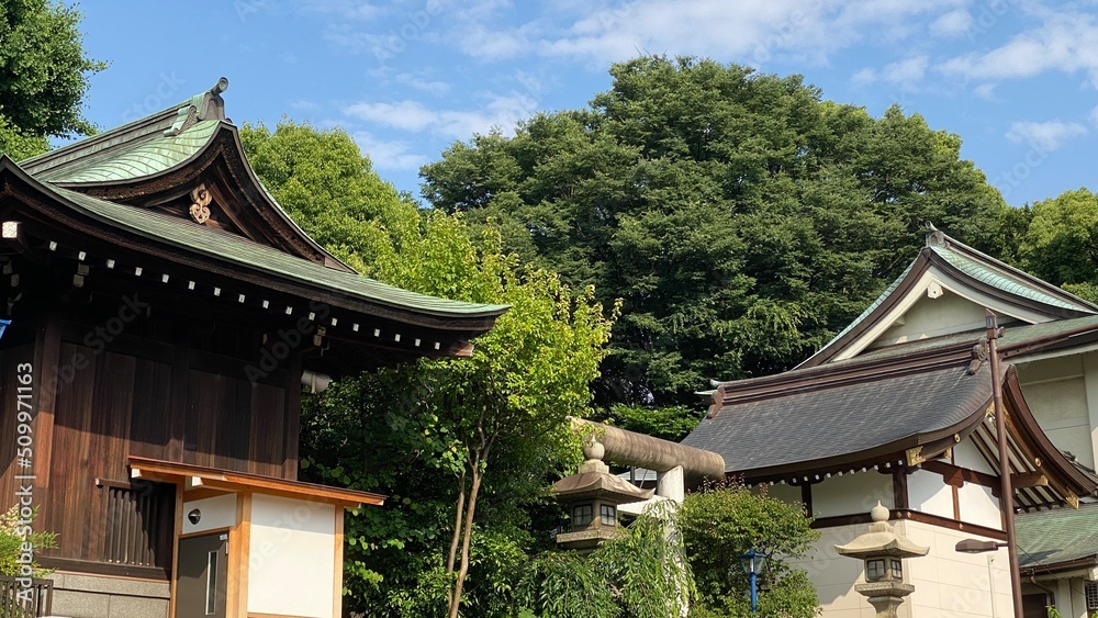The green roof traditional shrine house of Japan, “Gojyoten Jinjya”, clear blue sky June 10th year 2022