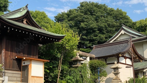 The green roof traditional shrine house of Japan     Gojyoten Jinjya     clear blue sky June 10th year 2022