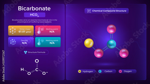 Bicarbonate Properties and Chemical Compound Structure -  Vector Design