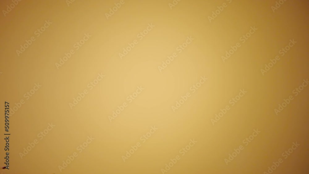 Explosion of freshly roasted brown coffee beans on yellow studio background. Fragrant coffee seeds scattering and falling close up. Ingredient for preparing a morning invigorating drink. Slow motion.