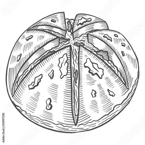 cream cheese garlic korea or korean cuisine traditional food isolated doodle hand drawn sketch with outline style