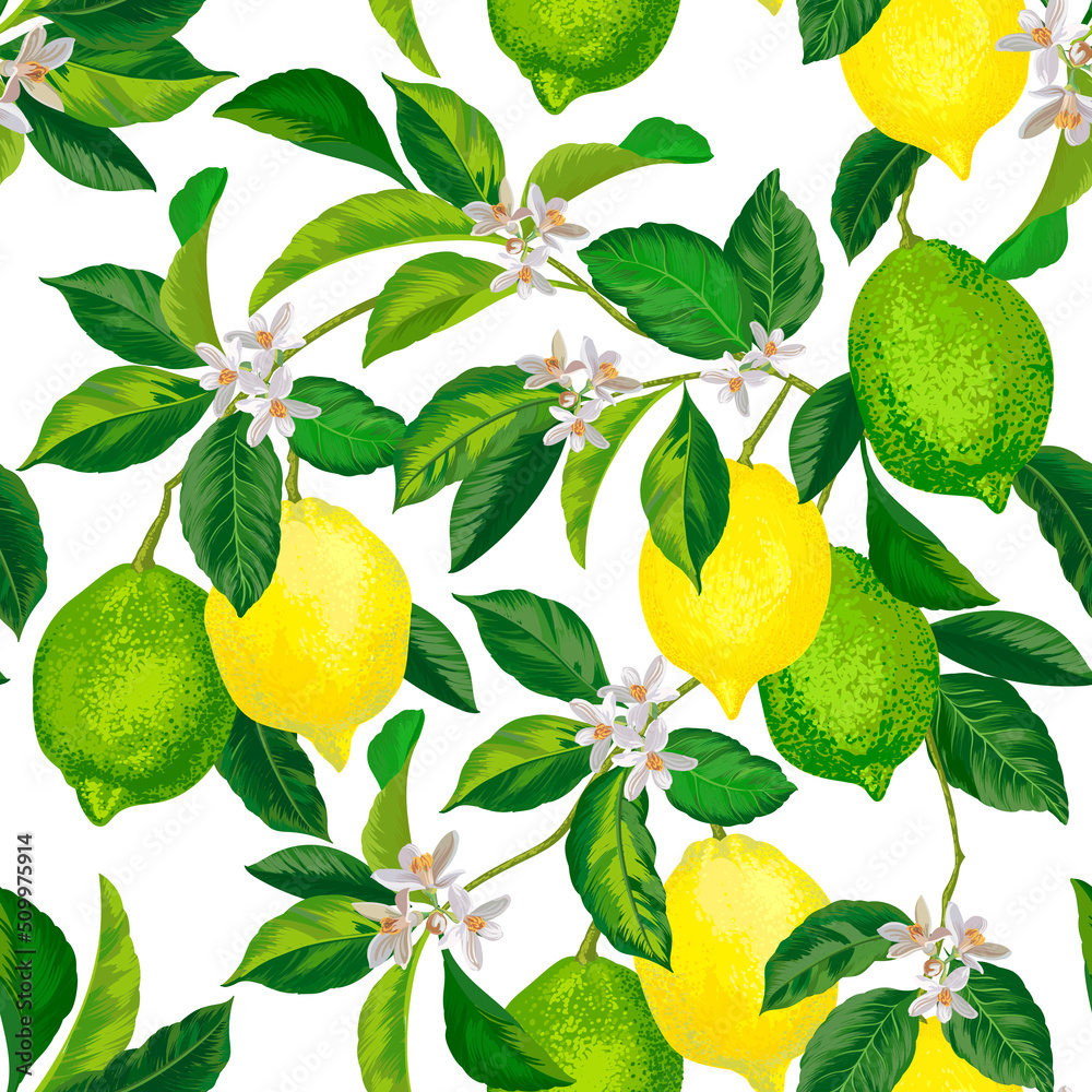 Lemon citrus vector pattern. Botanical vector illustration. Summer background. Floral design.	
