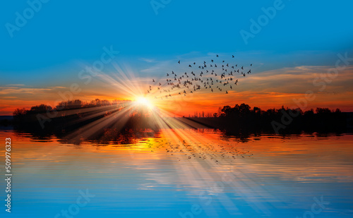 A group of birds flying above the lake in the rays of the sun at amazing sunset