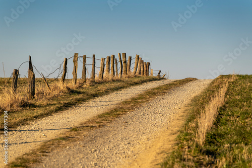 Rural scene with a country lane lined by a rustic fence in the warm evening light, Weserbergland, Germany