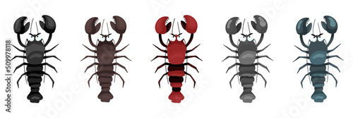 Set of drawings of sea crayfish in different colors. Vector horizontal illustration in cartoon style, isolated on white background.