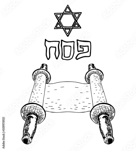 Torah scroll with star of David. Flat doodle scroll, Torah, Hebrew, religion, Judaism, religious, parchment. Isolated image hand draw sketch on a white background