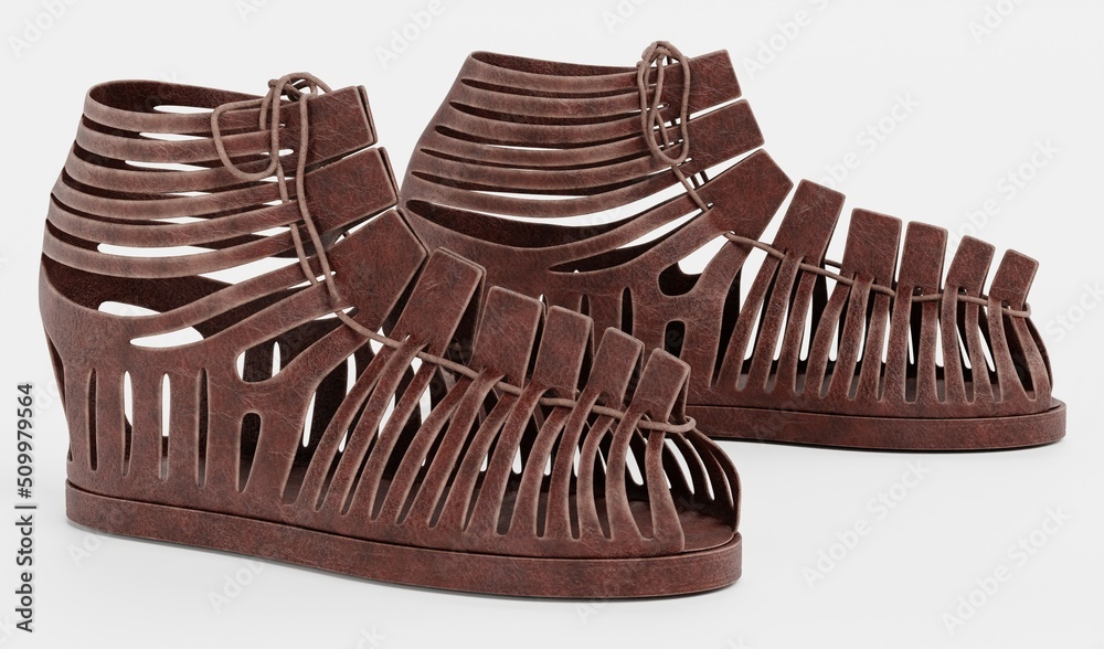 custom made wallpaper toronto digitalRealistic 3D Render of Caligae Shoes