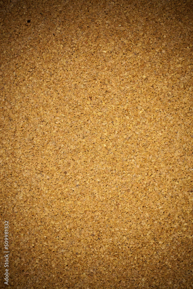 Background cork board.