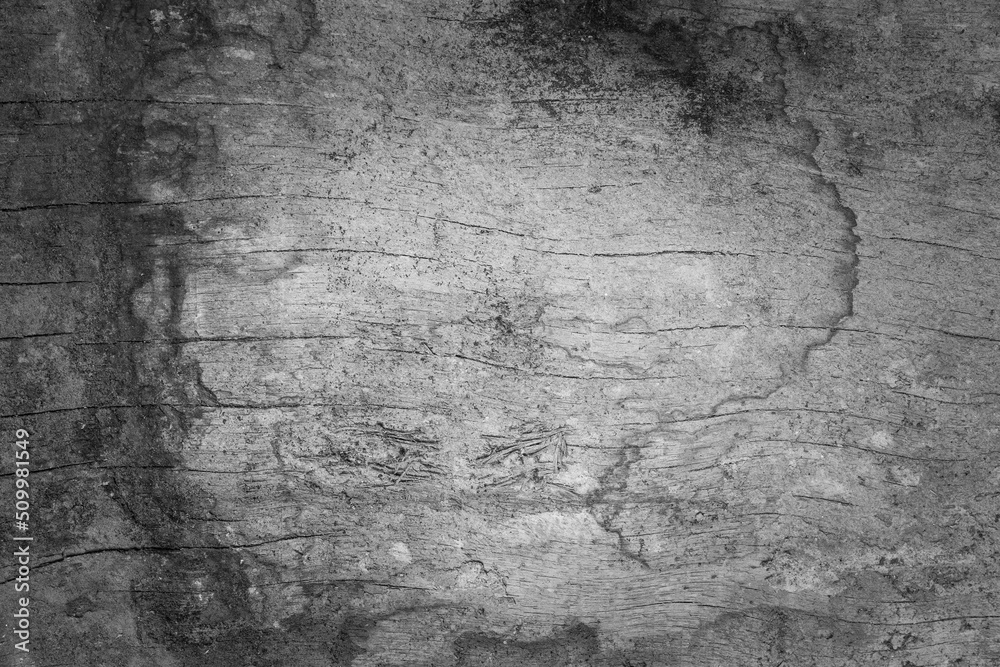 Wood cracked and dust background.