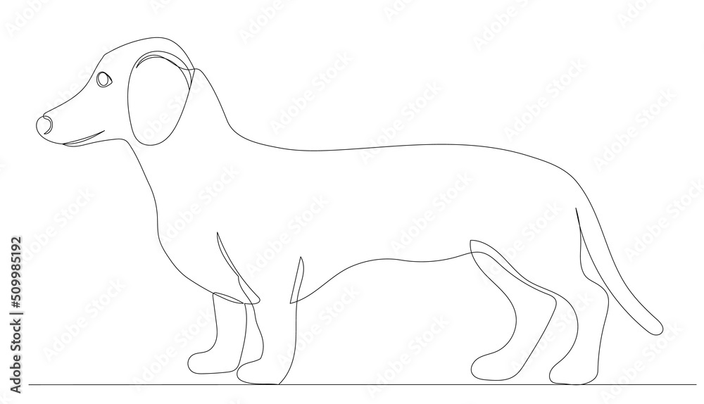 dog drawing in one continuous line, isolated