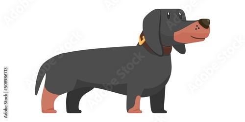Cute dog, cartoon style, flat modern design.