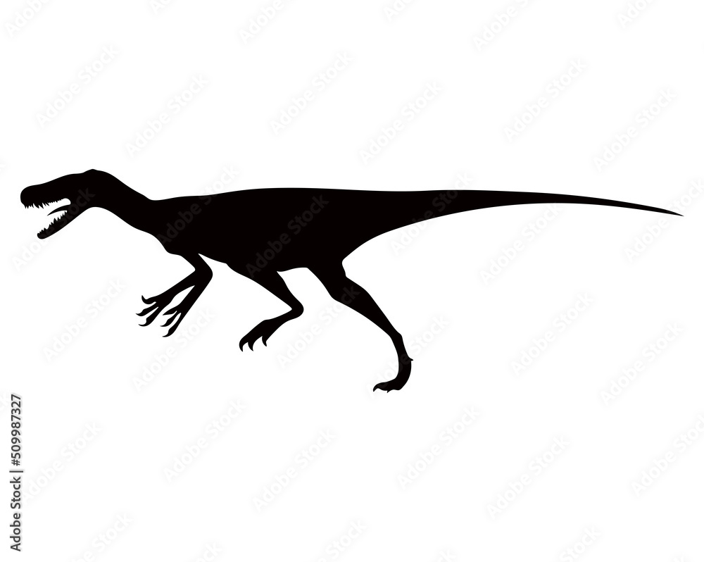 Dinosaurs of the Jurassic period. Silhouettes of different dinosaurs. Vector dinosaurs. Dinosaurs of the Jurassic period. Silhouettes of different dinosaurs. Vector dinosaurs.
