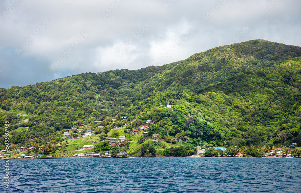 View of the seashore with a mountain, subtropical forest and beautiful houses on a clear sunny day, Tobago Island. Travel landscape attractions of South America.