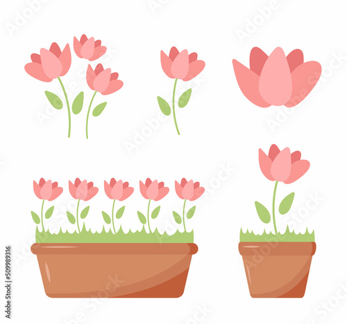 Flowers in pot. Decorative colored plants grow at home in funny pots. Vector cartoon illustrations isolated. Flowerpot and houseplant, rose and poppy flower