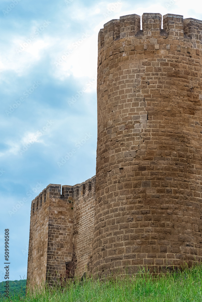 Φωτογραφία tower of a medieval fortress above a rampart overgrown with grass against the sk