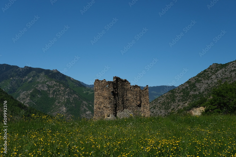 old castle with destroyed walls.Ardanuç ,Turkey